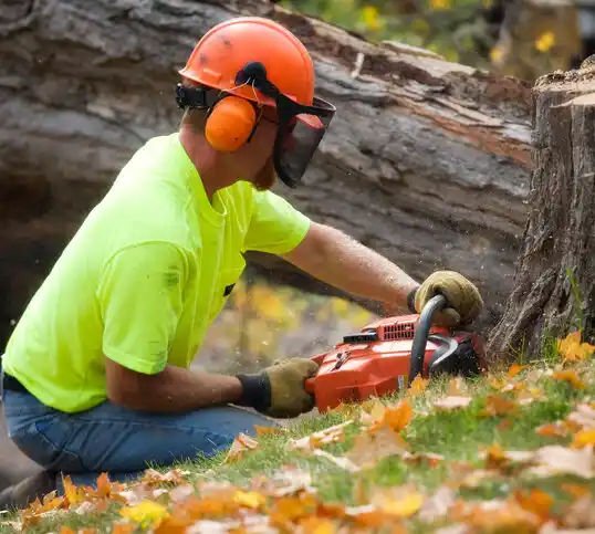 tree services Pilot Knob